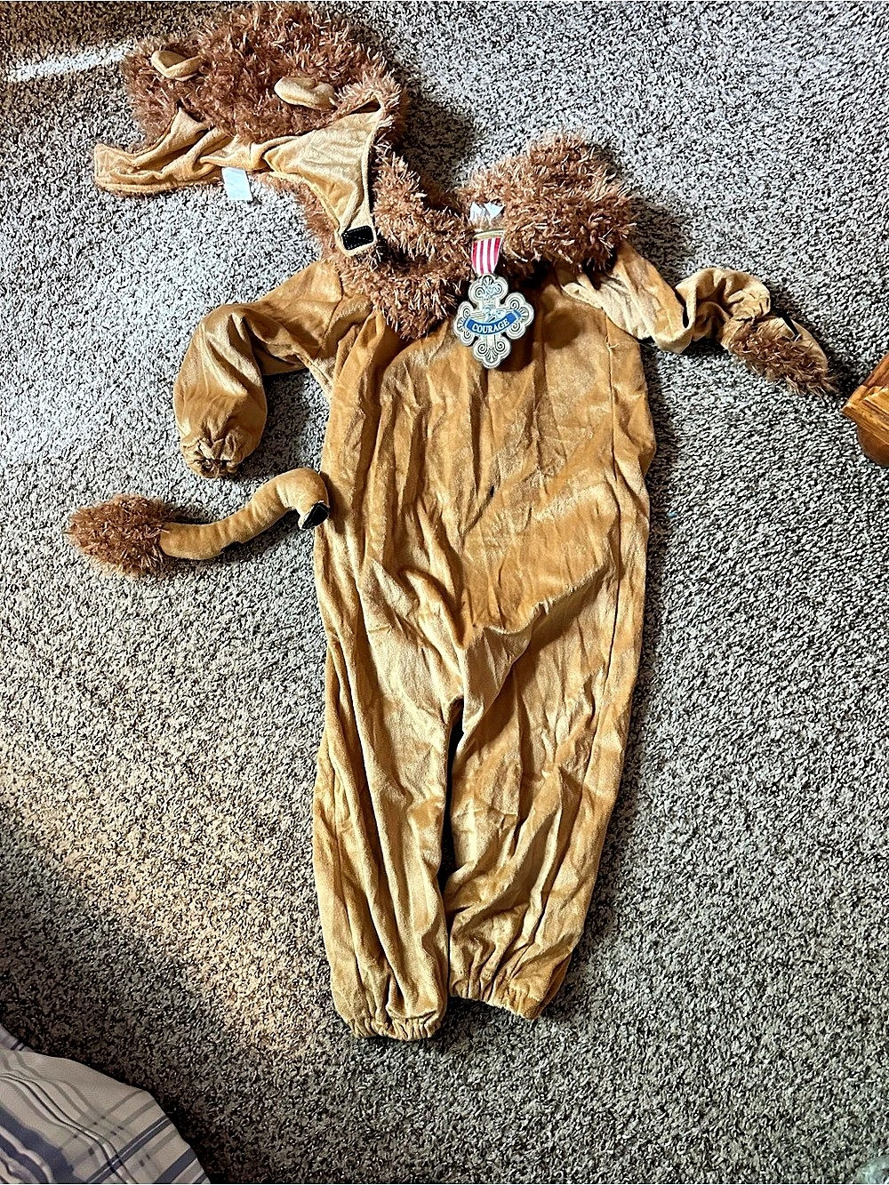 Robies Courage the Cowardly lion costume Lion  4T Halloween